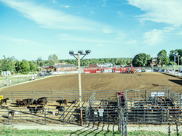 Apple Hill Stables, LLC Maine horse arena, national sized horse arena